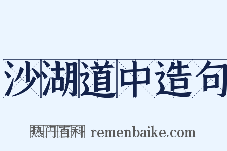 沙湖道中造句是什么意思的图片
